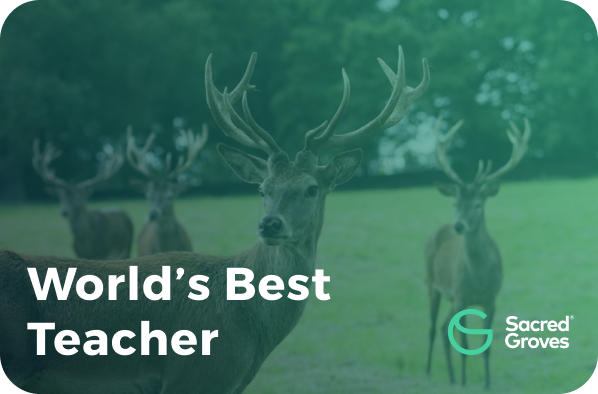 World's best Teacher03